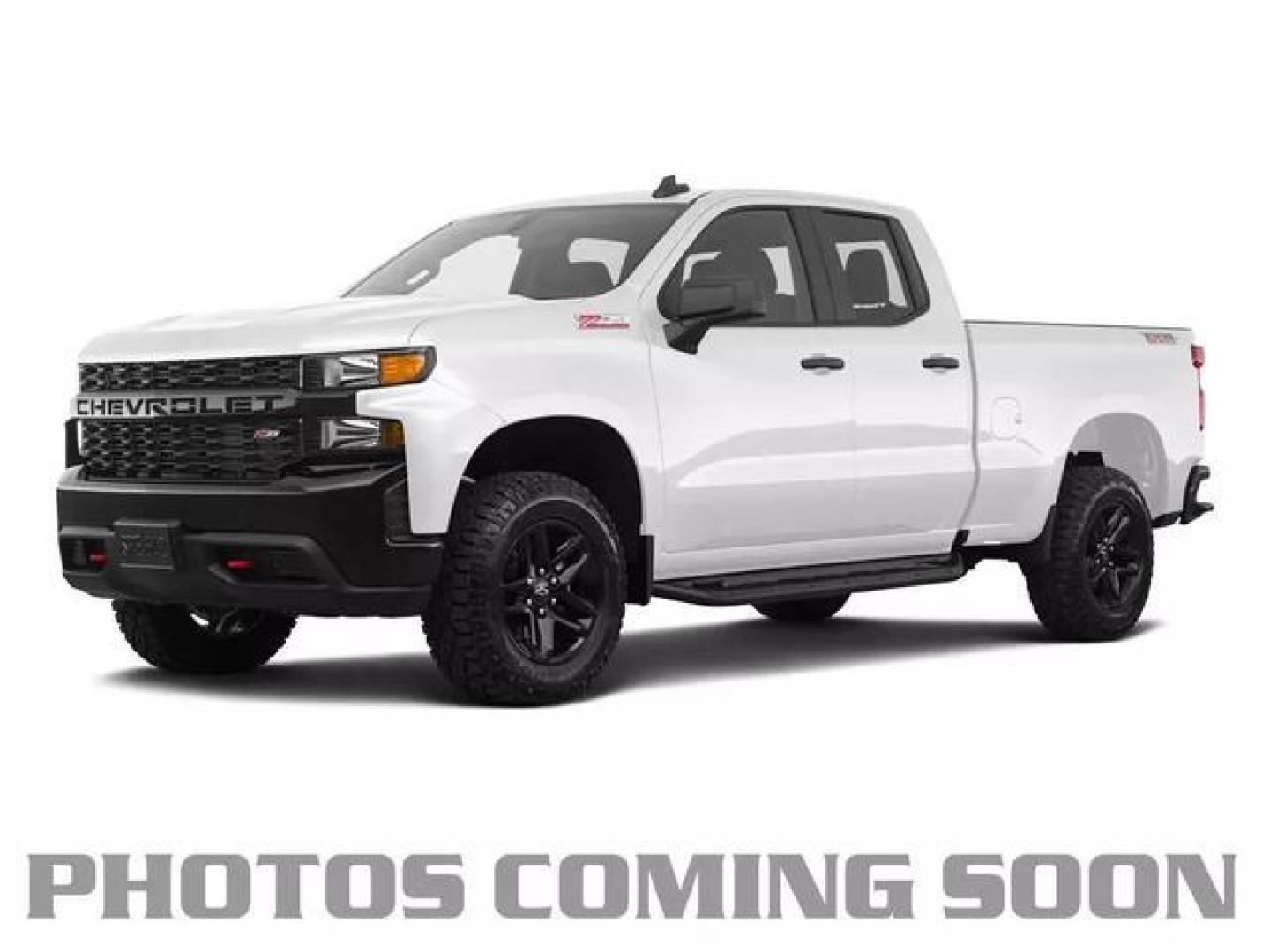 2019 White /Gray Chevrolet Silverado 1500 Double Cab LT Pickup 4D 6 1/2 ft (1GCRYDED2KZ) , Automatic, 8-Spd w/Overdrive transmission, located at 18001 Kellogg Rd, Saucier, MS, 39574, (228) 832-1441, 139.421463, -76.641457 - Photo#0